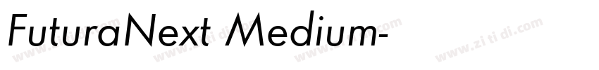 FuturaNext Medium字体转换